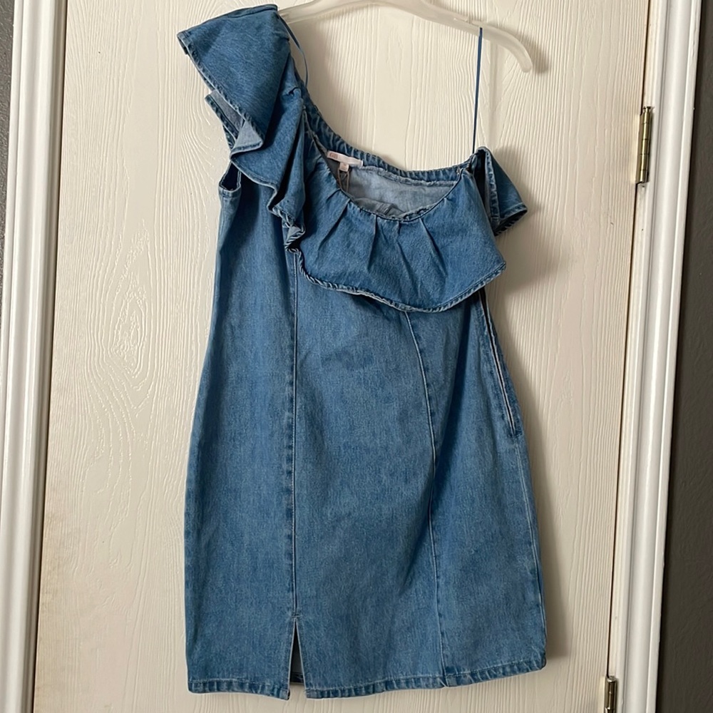 Gianni bini denim dress